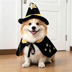 Costumi di Halloween per Cani, Divertenti e Stravaganti Abiti di Trasformazione per Cani Piccoli e Barboncini, Abbigliamento Creativo per Gatti - Product Image 6