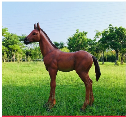 L103*W32*H123CM