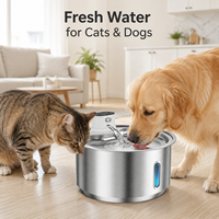 Fontaine à eau pour chat en acier inoxydable avec capteur intelligent, distributeur d'eau automatique pour animaux de compagnie avec minuterie pour chats et chiens d'intérieur OEM ODM