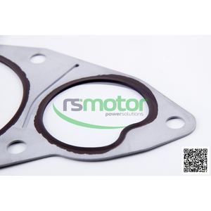 Garnitures formées par OEM RS-12316375 originale de garnitures de MWM - Product Image 1