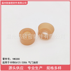 ซีลน้ำมันวาล์ว 1W5300 สำหรับเครื่องยนต์ Caterpillar C6121 3306 ใช้ในเรือ - Product Image 4