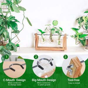 <b>Stand</b> Eco-Friendly Round Garden Planter for Flower/Green <b>Plant</b> Vietnam Propagation Stations With <b>Wooden</b> - Product Image 6
