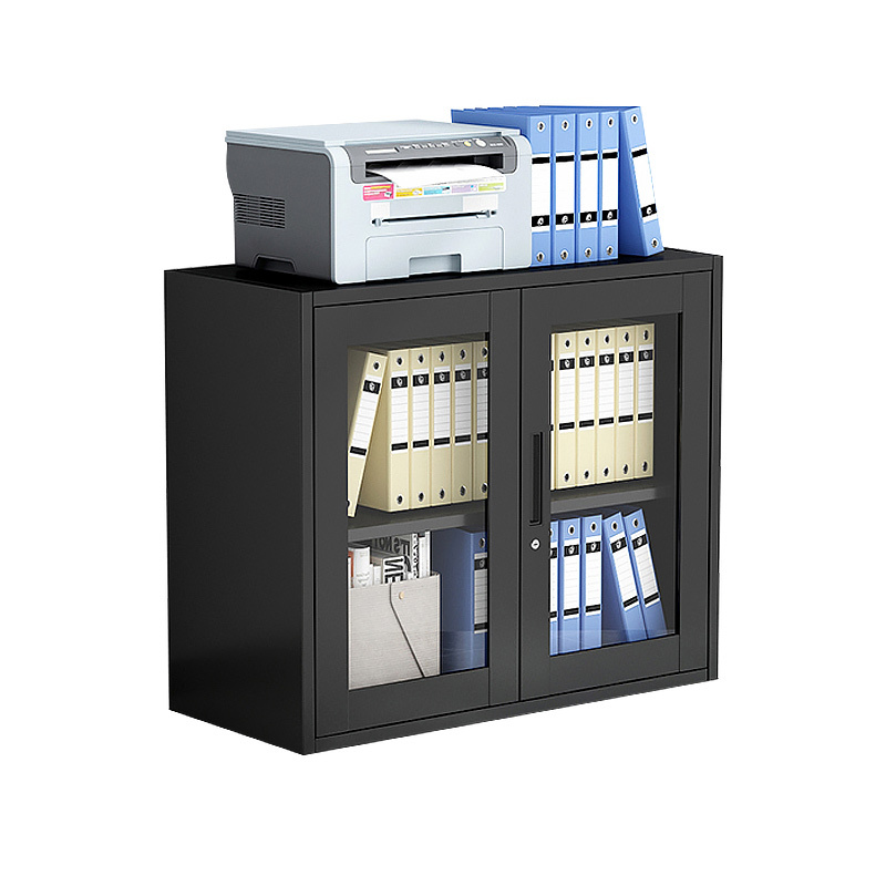 Luoyang Office Furniture Two Glass Door Filing Cabinet Short File Cabinet