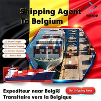 Agent de transport maritime Belgique Bruxelles Port d'Anvers-Bruges Services de transit de fret Transport de marchandises porte-à-porte