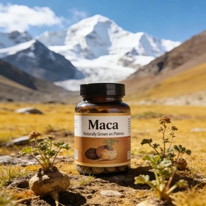 プライベートブランド ハーブサプリメント 500mg 純黒マカ根エキス錠剤 オーガニックマカ根カプセル - Product Image 4