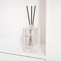 OEM/ODM BMH BMH-X002 Allemagne – Flacon de parfum en verre 100 ml, best-seller, avec pulvérisateur à pompe rectangulaire personnalisé et emballage diffuseur à bâtonnets, impression sérigraphique
