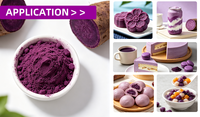 OEM ODM Marque Privée Sachets de Boisson Instantanée au Yam Violet (Ube) en Poudre Superalimentaire