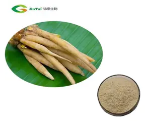 fingerroot extract supplement seasoning mix ginger and finger root spice powder boesenbergia rotunda powder