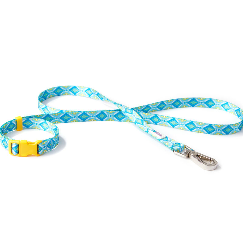 Blue leash