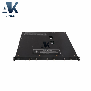 4210 Module d'extension à distance Triconex - Product Image 2