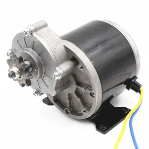 300W 24V Balance Scooter Ebike Kit Small Electric Motorcycle Pulley Belt Drive Engine DC High Speed Brushed Moto