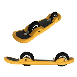Tabla de skate de 2 ruedas, personalizada, para vendedor de amazon ebay