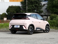 BYD Seagull 2024, autonomie de 305 km à 405 km, 5 portes, 4 places, voiture électrique pure, véhicule à énergie nouvelle, voiture électrique économique à vendre