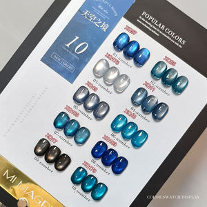 ยาทาเล็บเจล AILANUO 10 สี แบบตาแมว ติดทนนาน เป็นมิตรต่อสิ่งแวดล้อม รับผลิตแบบ OEM/ODM แบรนด์ส่วนตัว อุปกรณ์ทำเล็บ ตาแมวเปลี่ยนสี - Product Image 4