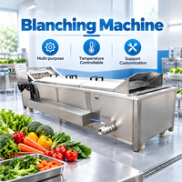 Fabrieksdirecte verkoop Volledig automatische fruit- en groenteblancheermachine Pinda-blancher Champignon-blancher