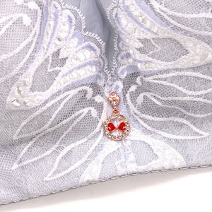 Grande Tazza di <span class=keywords><strong>Reggiseni</strong></span> <span class=keywords><strong>Reggiseni</strong></span> Push up per le Donne Biancheria Intima Sexy In Pizzo Con Ferretto Grande Formato Sexy di Fantasia Del Reggiseno Panty Set Della Ragazza della signora Delle Donne Tazza Piena - Product Image 5