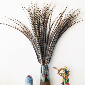 Plumas de faisán Lady Amherst para carnavales - Product Image 3