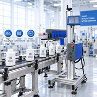 Machine de marquage laser CO2 volante