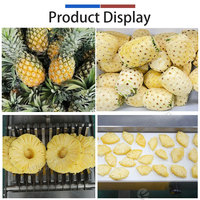 Kleine schaal ananasverwerkingslijn: machine voor het snijden, schillen, ontpitten en snijden van ananas voor de fruitindustrie