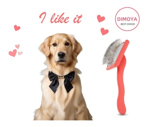 2024 professionale personalizzato in legno cane spazzola per animali domestici toelettatura di alta qualità manico ergonomico lungo Pin pettine per animali domestici per cane gatto - Product Image 5