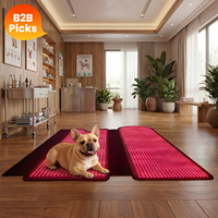 Couverture de luminothérapie intégrale IDEATHERAPY, tapis de luminothérapie infrarouge, appareil de luminothérapie LED, sac de couchage à lumière rouge