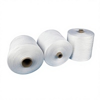 Fil de Polyester 100% de Qualité Supérieure, Prix Usine Xinao, Vente Chaude, Blanc Brut, Filé en Anneau sur Cône en Carton pour Fils à Coudre 40/2