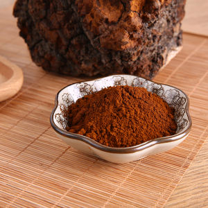 Экстракт гриба Чаги 30% полисахарида - Product Image 2