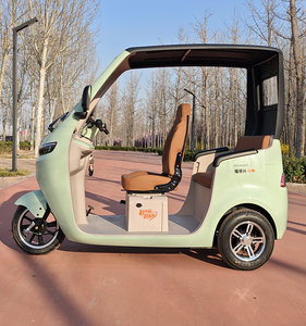 Tricycle électrique sûr et bon marché de l'entrepôt européen Type de corps fermé de <span class=keywords><strong>vélo</strong></span> pour le chariot de nourriture et la publicité publique - Product Image 3