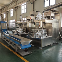 Machine professionnelle d'enrobage automatique de poudre et de liquide pour cacahuètes croustillantes enrobées de wasabi/cacahuètes enrobées de sel marin et noix de cajou enrobées de sel marin