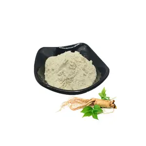 Root Powder Ginsenosides Extract 5%-80% Ginsenosides Ginseng Extract Powder 10:1