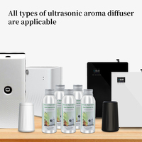 Diffuser d'Huiles Essentielles de Luxe pour Hôtels à Haute Concentration, Arômes Personnalisables
