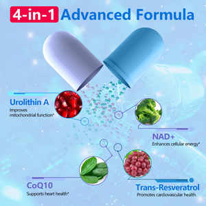 Cápsulas de Gel Suave de Urolithin A Liposomal Natural NAD+ COQ10 de Marca Privada OEM al por Mayor, 1700 mg, Suplementos para el Bienestar Intestinal y Antienvejecimiento - Product Image 3