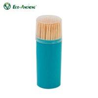 Cure-dents jetables double extrémité en bois de bouleau compostable, écologiques, saveur menthe, en vrac, directement du fabricant, avec remise