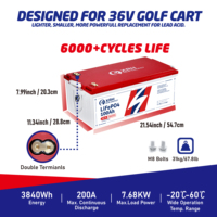 Batterie au lithium LFP à semi-conducteurs 38,4 V 100 Ah, 6000 cycles, avec BMS 200 A et chargeur pour chariot de golf et stockage solaire