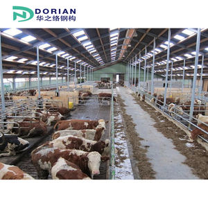 Eenvoudig Geassembleerde Structurele Stalen Veehouderij Gecontroleerde Pluimveeschuur - Product Image 4