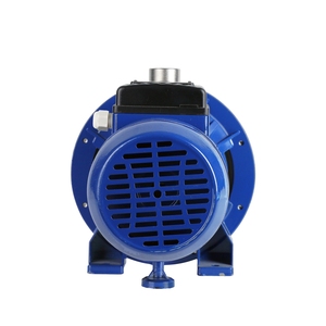 Pompa Centrifuga 220V 2200W Personalizzata per Aumento Pressione e Irrigazione Giardino 250L/min 38m Raffreddamento ad Aria - Product Image 6