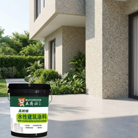 Peinture acrylique pour pierre, revêtement liquide pour murs extérieurs, élastique, résistant aux fissures, imperméable, finition anti-taches
