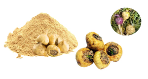 Bubuk Akar <span class=keywords><strong>Maca</strong></span> untuk Suplemen Kesehatan Dewasa Langsung dari Pabrik, Meningkatkan Fungsi Pria, Penambah Energi - Product Image 2