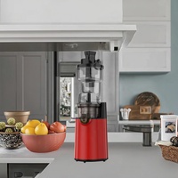 250W DC-motor roestvrijstalen slowjuicer met grote invoeropening, elektrische koudpersmachine, kauwende slowjuicer voor huishoudelijk gebruik, multifunctioneel