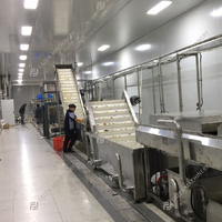 Ligne de production entièrement automatique de concentrés de jus de fruits Bisscap Carotte pomme