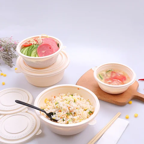 China Meal Prep Containers Supplier Food Container 500Ml 6 Compartment Compostable