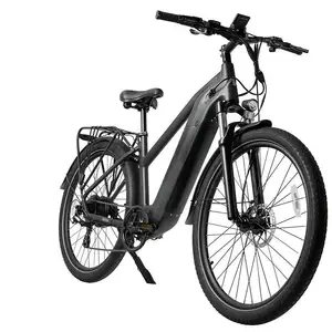 500w 1000w Bafang Motor Mid Drive Ebike Full Suspension Electric Bicycle Electric Mountain Bike