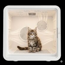 Boîte de séchage intelligente pour animaux de compagnie Zohang, sécheuse automatique pour chats et chiens, moteur AC 220V, utilisation domestique, appareil de séchage et de conditionnement des poils - Product Image 2