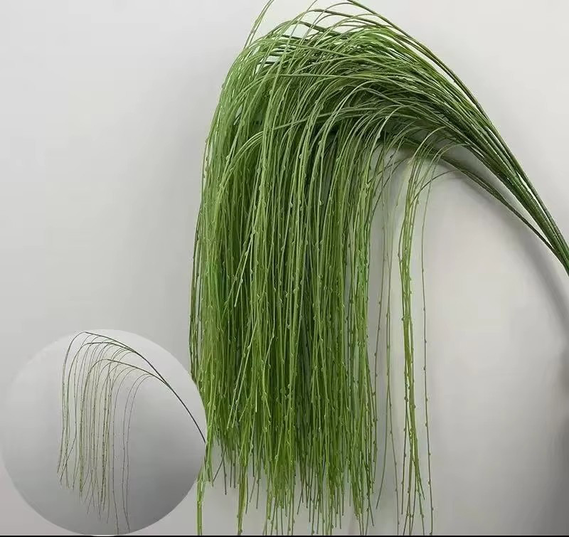 Prix ​​par canne à pêche bourgeon de saule vert