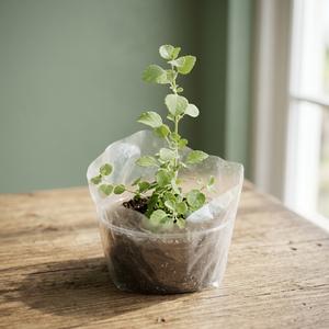 Kopeat Exports 5 Gallon 70% Coco Peat Coir Planter <b>Bag</b> Breathable Reusable PE Plant <b>Nursery</b> Grow Pot Wall Hanging Heavy Duty - Product Image 2