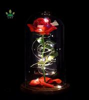 Lampu LED Mawar Ajaib Ramah Lingkungan Ukuran Sesuai Pesanan Terinspirasi Beauty and the Beast dengan Kubah Kaca, Bunga Merah, Kelopak Bunga yang Rontok, dan Kayu