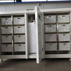 Contenedores Hidropónicos para Germinar Brotes de Cacahuete, Máquina para Cultivar Brotes de Frijol, Máquina Automática Comercial para Brotes de Frijol Mung - Product Image 3