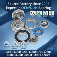 Fabricante de Rodamientos de Bolas de Ranura Profunda de Acero Inoxidable 420 440 304 316, OEM ODM Personalizado, Desde 2006