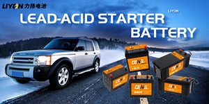Batteria di avviamento Auto 12V 36AH 6_QW-3 piastra batterie Auto per Auto HONDA <span class=keywords><strong>Audi</strong></span> nero Toyota Camry Civic OEM Automotive POWER articolo - Product Image 6