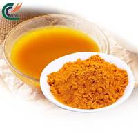 Extrait de Curcuma 95% en poudre de qualité alimentaire naturelle, base antioxydante pour les compléments alimentaires pour le soutien des articulations et du système immunitaire